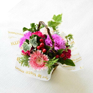  t[AWg  v[g Mtg a ܂ t[MtgAW av  j W \  y  킢 t̂ ق̋C