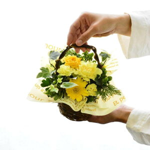  t[AWg  v[g Mtg a ܂ t[MtgAW av  j W \  y  킢 t̂ ق̋C