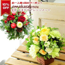 花 あす楽 14時まで 送料無料 ギフト 誕生日 フラワーアレンジメント 土日発送 メッセージ おまかせ アレンジメント お祝い 記念日 お見舞い 楽屋花 退職 プレゼント フラワーギフト アレンジメント おしゃれ ご自宅用 感謝 お礼 P