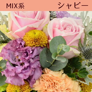 y19`|Cg8{12/3()19:59܂Łz a t[AWg t[Mtg  ԑ v[g t[ AWg AW Mtg av t[Vbv j 