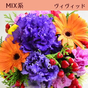  t[AWg t[Mtg j a ԑ t[ AWg v[g AW Mtg 蕨  t[Vbv ԉ  LO  җ P 