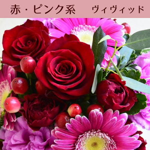  a t[AWg t[Mtg  ԑ v[g t[ AWg AW Mtg av t[Vbv j ސE    ԉ 