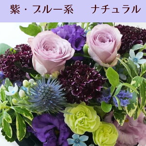 ԑ u[P ؉  a  t[Mtg Mtg v[g j IV    җ EGfBO t[AWg ̊ ؂₩  t[V