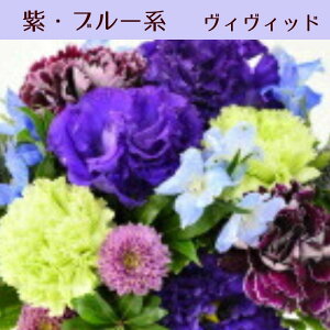 ԑ u[P ؉  a  t[Mtg Mtg v[g j IV    җ EGfBO t[AWg ̊ ؂₩  t[V