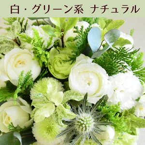  t[ a t[AWg t[Mtg  ԑ v[g Mtg av AW j  W  t[Vbv ԉ   ŋz 