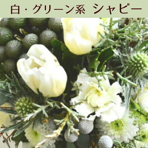 ԑ u[P ؉  a  t[Mtg Mtg v[g j IV    җ EGfBO t[AWg ̊ ؂₩  t[V