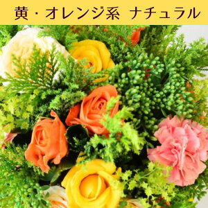  a t[AWg t[Mtg  ԑ v[g t[ AWg AW Mtg av t[Vbv j ސE    ԉ 