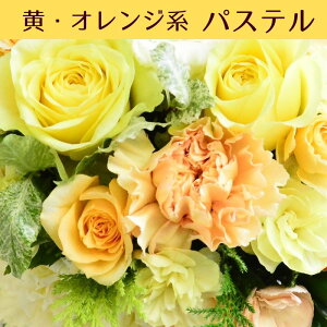 ԑ u[P ؉  a  t[Mtg Mtg v[g j IV    җ EGfBO t[AWg ̊ ؂₩  t[V