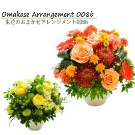 花 フラワーアレンジメント 生花 お祝い おまかせ アレンジメント 誕生日 花束 長寿 御祝 お見舞い 楽屋花 退職祝い 誕プレ プレゼントフラワーギフト おしゃれ フラワーショップ 花屋 お花 最強配送 宅配