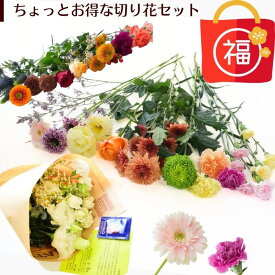 花 花束 切り花 生花 自宅用 誕生日 送料無料 切花 おまかせ フラワー 花のある暮らし 上質な暮らし オシャレ かわいい カットフラワー おしゃれ 宅配