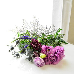  ԑ ؂  p a  ؉ ܂ t[ Ԃ̂炵 ㎿ȕ炵 IV 킢 Jbgt[  R TuXN  b ANG  z