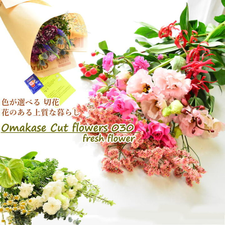 楽天市場 花 花束 切り花 生花 クール含む 自宅 誕生日 送料無料 切花 イマデキ おうち時間 うちで過ごそう おまかせ フラワー 上質な暮らし リビング オシャレ かわいい カットフラワー おしゃれ 自然 土日発送 B Ang ブーケ 花とギフトの店 Arne 楽天市場 花 花束 切り花 生花 クール含む 自宅 誕生日 送料無料 切花 イマデキ おうち時間 うちで過ごそう おまかせ フラワー 上質な暮らし リビング オシャレ かわいい カットフラワー おしゃれ 自然 土日発送 B Ang ブーケ 花とギフトの店 Arne