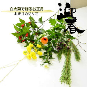   ԑ ؂   e }ᏼ  e  a ؉ ܂ t[ ɏ Ԃ̂ ㎿ȕ炵 IV 킢 Jbgt[  R