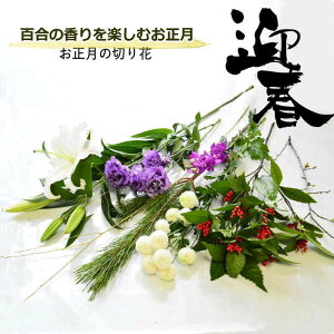   ԑ ؂   IG^ S }ᏼ  ؉ Ԃ̂ ܂ Jbgt[  z