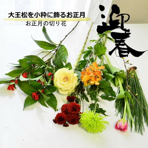 2025   ԑ ؂   剤 fR} `[bv  }     ؉ ɏ Ԃ̂ ܂ t[ ㎿ȕ炵 IV