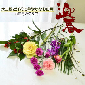   ԑ ؂   剤 J[l[V `[bv  }  ؉ ܂   Ԑ Jbgt[ z