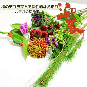 2025   ԑ ؂    fR} e }ᏼ  e  a   ؉  ɏ Ԃ̂ ܂ t[ ㎿ȕ炵 IV 