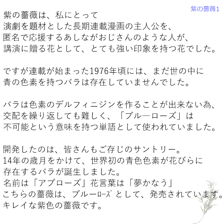 楽天市場 敬老の日 誕生日 花 花束 切花 ブーケ バラ 紫のバラ 送料無料 生花 お祝い 表彰 送別 退職 結婚祝い 結婚記念日 記念日 ウエディング フラワーギフト おしゃれ かわいい まるい きれい紫のバラの人 土日発送 B Ag ブーケ 花とギフトの店 Arne