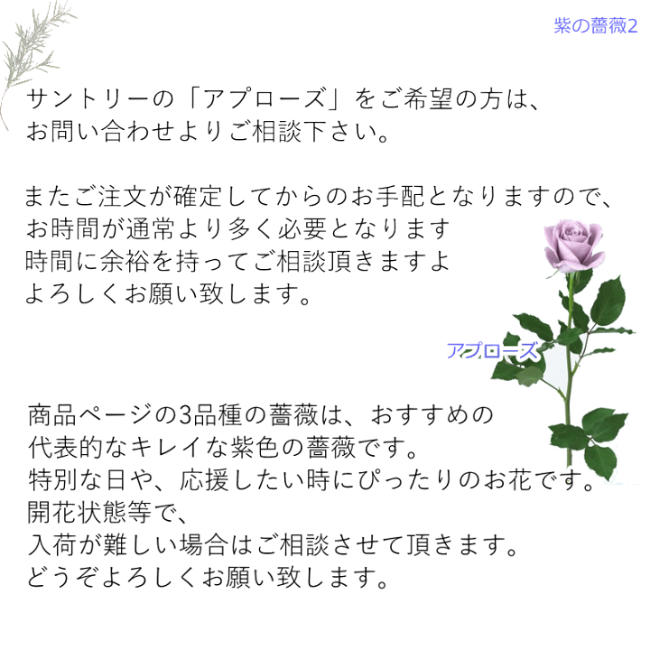 楽天市場 誕生日 花 花束 切花 ブーケ バラ 紫のバラ 送料無料 生花 お祝い 表彰 送別 退職 結婚祝い 結婚記念日 記念日 ウエディング フラワーギフト おしゃれ かわいい まるい きれい紫のバラの人 土日発送 B Ag ブーケ 花とギフトの店 Arne