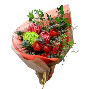  ԑ a  Cht[ hCt[ v[g t[Mtg ԕrɏ j AWg AW t[AWg 傫 ؂₩ j Ê  