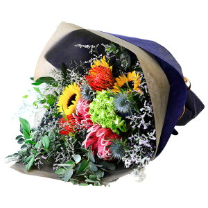  ԑ a  Cht[ hCt[ v[g t[Mtg ԕrɏ j AWg AW t[AWg 傫 ؂₩ j Ê  