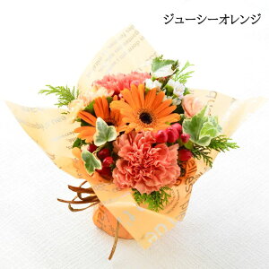  ԑ ؉ u[P  X^fBOu[P bsÔ܂܏ ̂܂܃u[P t[Mtg \ a Mtg v[g   j    