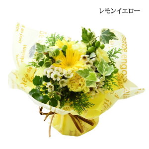  ԑ ؉ u[P  X^fBOu[P bsÔ܂܏ ̂܂܃u[P t[Mtg \ a Mtg v[g   j    