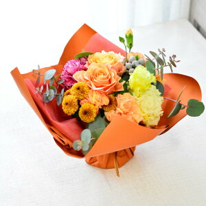  ԑ av[g X^fBOu[P ԂƃP[LZbg v[g AW a AWg Vz t[Mtg َq Mtg j ̊ EGfBO K