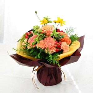 ԑ u[P ؉   a X^fBOu[P ؂ bsÔ܂܏ ̂܂܏ t[Mtg j Mtg t[AWg v[g  A