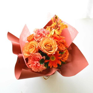 ԑ u[P ؉  a  bsÔ܂܏ԑ IW X^fBOu[P Mtg j    җ EGfBO ̊ v[g t[Mtg 