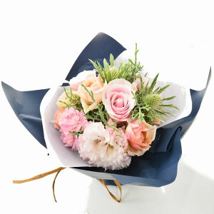 ԑ ؉ u[P  bsÔ܂܏ԑ  a bsOIׂ W sN X^fBOu[P Mtg j    ̊ p v[g t