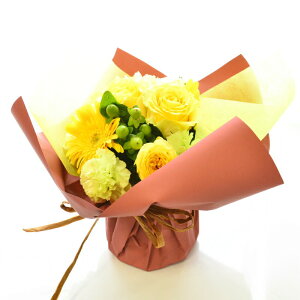 ԑ ؉  u[P a  t[MtgbsÔ܂܏ԑ bsOIׂ F  X^fBOu[P Mtg j    ̊ v[g t