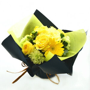 ԑ ؉  u[P a  t[MtgbsÔ܂܏ԑ bsOIׂ F  X^fBOu[P Mtg j    ̊ v[g t