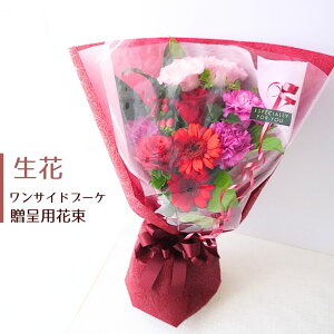  ԑ a v[g  Mtg j  } LO ̊ EGfBO ԐF K 킢  w ͂ ŋz z