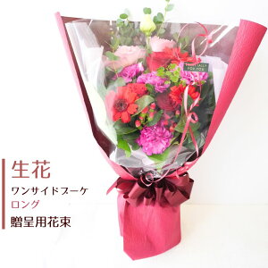  ԑ a v[g  Mtg j  } LO ̊ EGfBO ԐF K 킢  w ͂ ŋz z