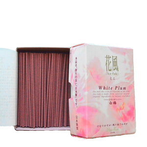     䋟  vXZbg ԂƃZbgŁ@y zs  z