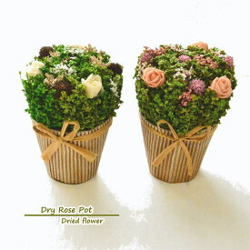 楽天市場 ローズポット 花 ガーデン Diy の通販