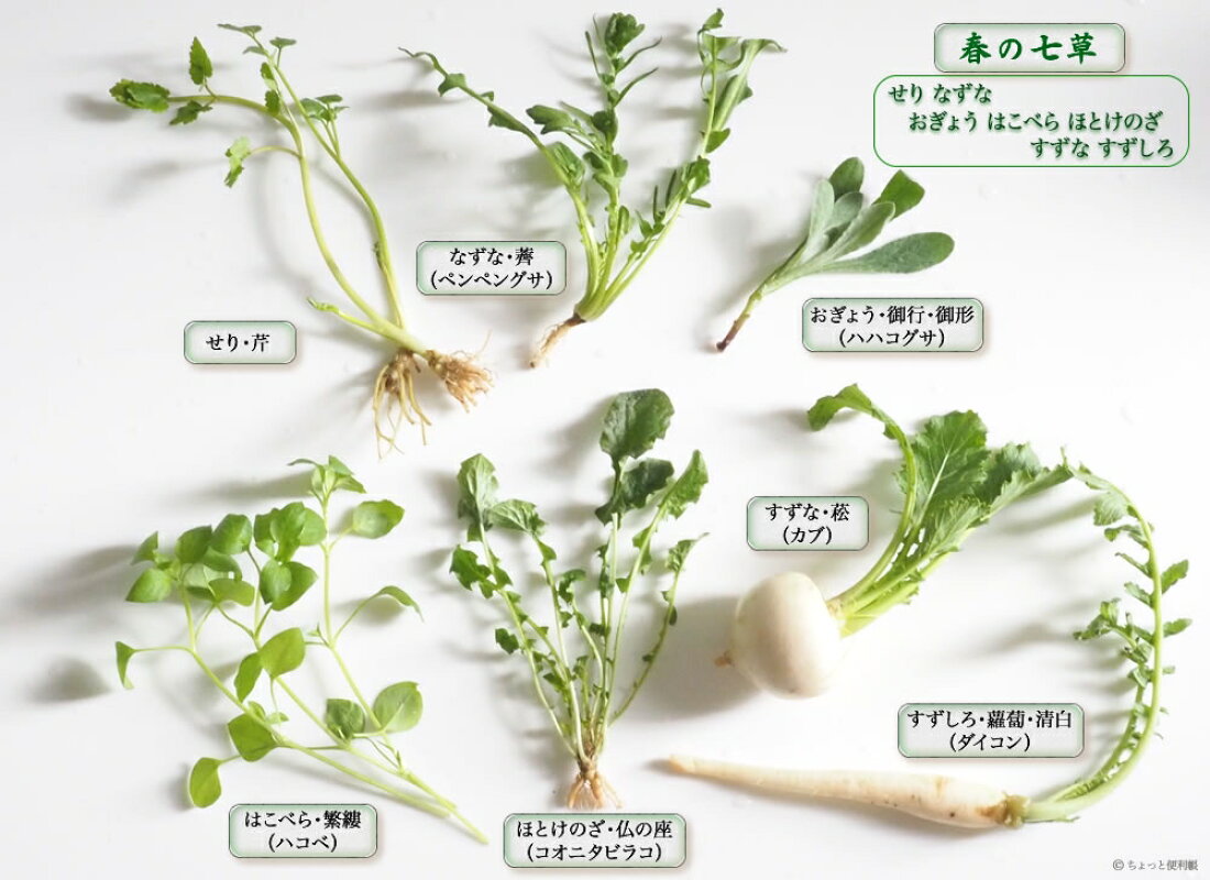 七草 