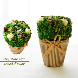 hCt[ t[AWg  a v[g |bg hC[Y|bg j ~jTCY ق̋C AOK d  w ͂ ŒZz z