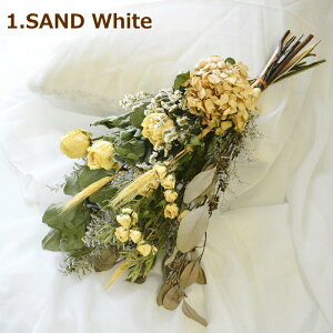 hCt[ ԑE؉ hCt[̉ԑ XbO a j JX Vzj W ̖͗lւ EGfBO d mm  z