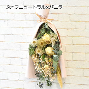 hCt[ XbO  a ԑ ؉ Ǐ t[Mtg hC p CeA t[ Mtg 蕨 Mtg v[g t[AWg   hA