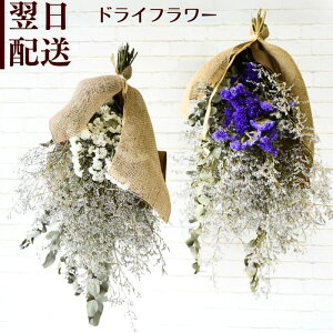 hCt[  a hCu[P v[g ԑ hC t[AWg Mtg bZ[W   CeA p  w ŋz z