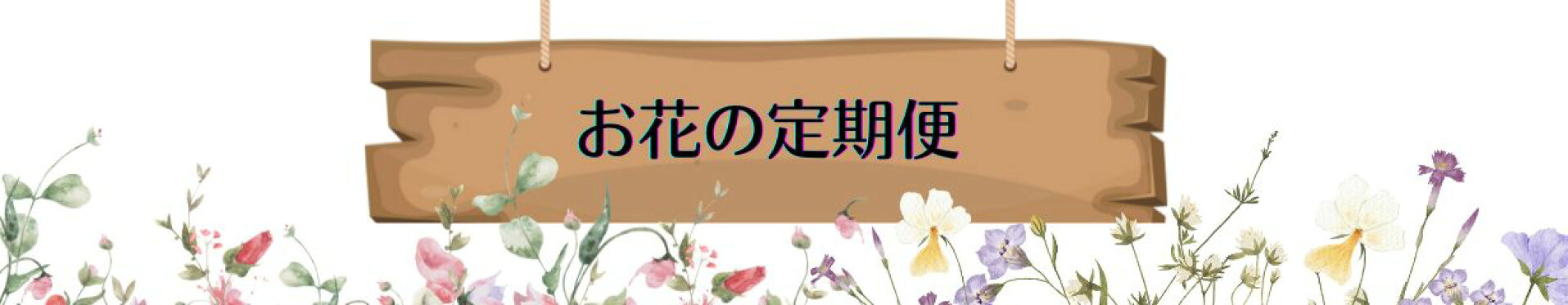 定期便
