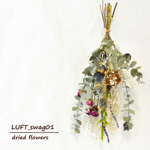  hCt[ XbO Ǐ A ق̋C a hCt[̕Ǐ j Vzj JXj W t[Mtg t[AWg LO LO 