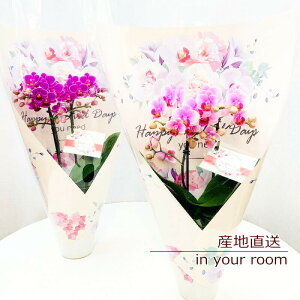 a     Ӓ ~fBӒ 2F 2{ Mtg eiXȒP Yn bNX bZ[W ns ANG  z