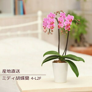 Ӓ a     R`E Ԕ ~fBӒ 2F 2{ Mtg Yn bNX bZ[W a W t LO v[g j  Vzj j oY