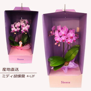 Ӓ a     R`E ~fBӒ L2F L2{ Mtg sN Yn bNX bZ[W a W t LO v[g j  Vzj EGf