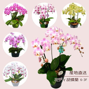 Ӓ A a     R`E ~fBӒ 3F 3{ Mtg sN Yn bZ[W a W t LO v[g j  Vzj e[uT