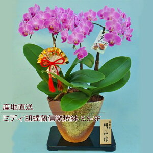 Ӓ A a     Ԕ ~fBӒ 3F 3{ Mtg sN Yn bNX bZ[W a W t LO v[g j  Vzj EGfB