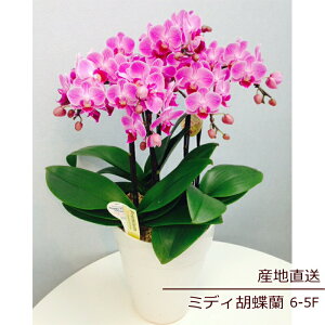 Ӓ A a     Ԕ R`E ~fBӒ 5F 5{ Mtg sN Yn bNX bZ[W a W t LO v[g j  Vz